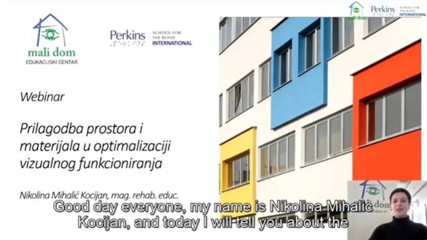 Webinar on “Adaptation of materials and the optimization of space for visual functioning” topic