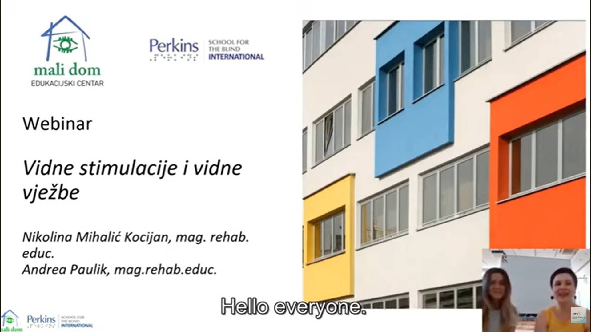 Webinar on the “VISUAL STIMULATION AND VISUAL EXERCISES” Topic